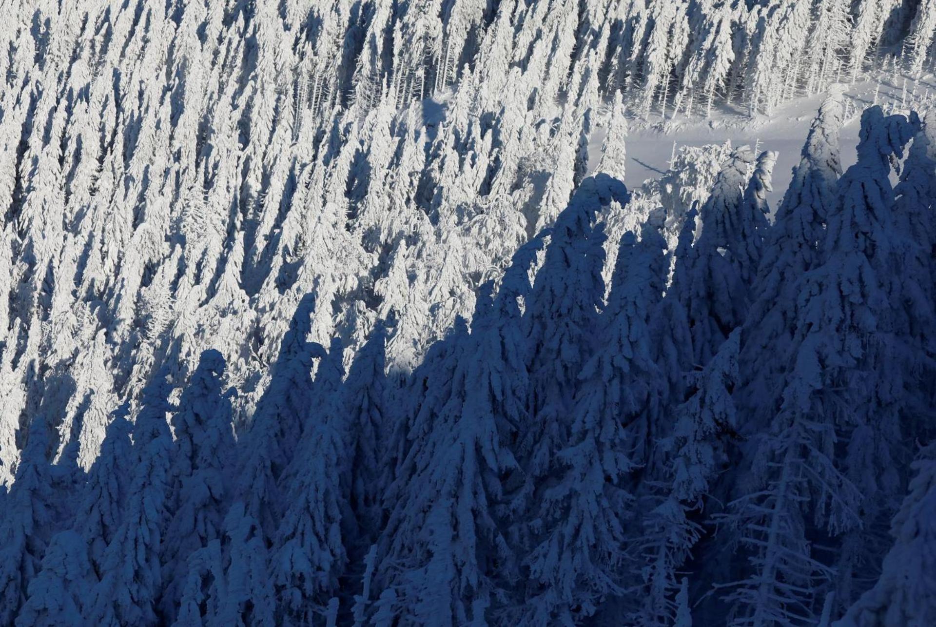 Chalet Alpinka Cerklje na Gorenjskem Esterno foto