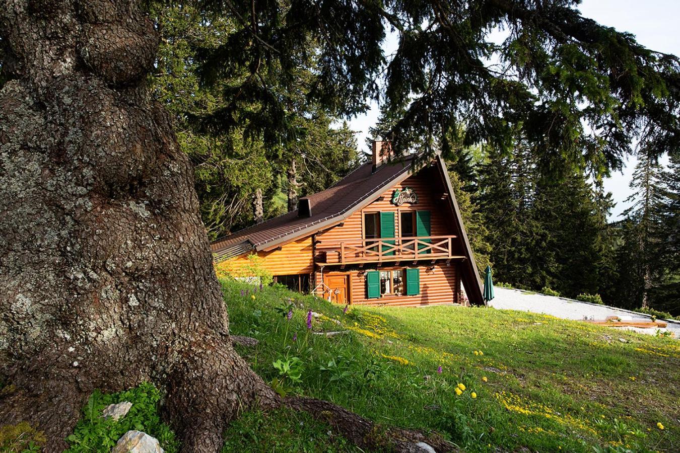 Chalet Alpinka Cerklje na Gorenjskem Esterno foto